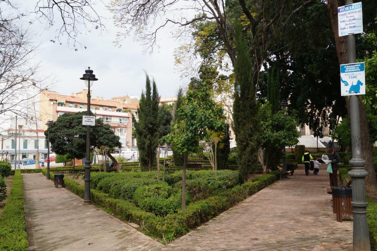 Apartamento Plaza Alfonso XII Málaga Dış mekan fotoğraf